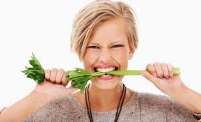 Afbeeldingsresultaat voor that you burn more calories eating celery than it contains (the more you eat the thinner you become)
